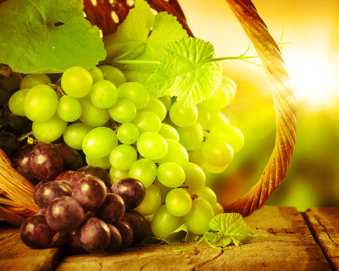 Σταφυλια loucofruit Export Agricultural Products Greece